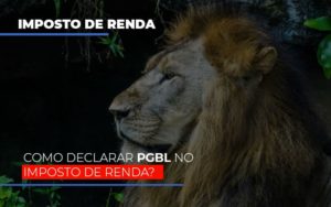 Ir2020:como Declarar Pgbl No Imposto De Renda Notícias E Artigos Contábeis - Contabilidade no Piauí | Império Contábil