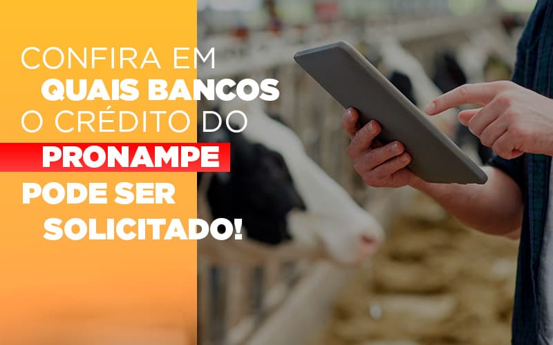 Confira Em Quais Bancos O Credito Pronampe Ja Pode Ser Solicitado Notícias E Artigos Contábeis - Contabilidade no Piauí | Império Contábil